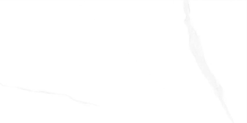 AML468H05