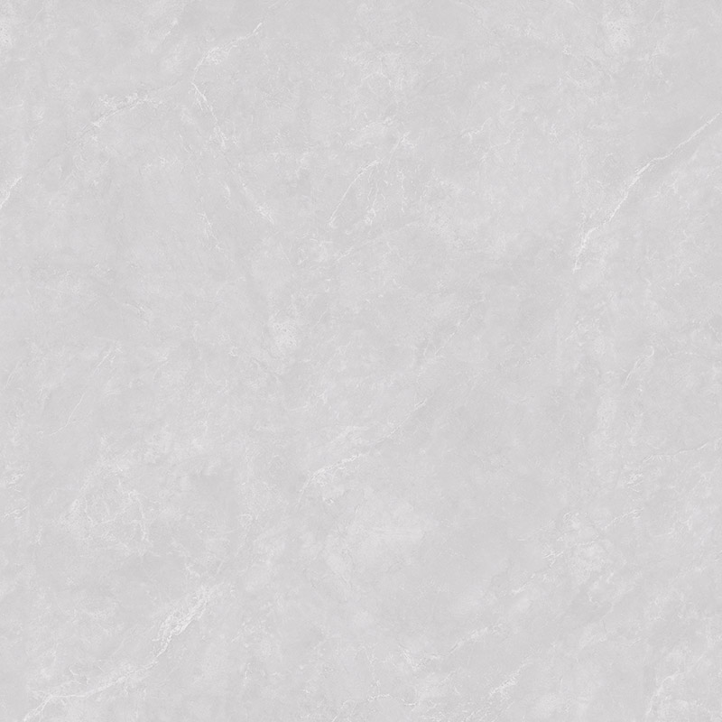 AM89H002