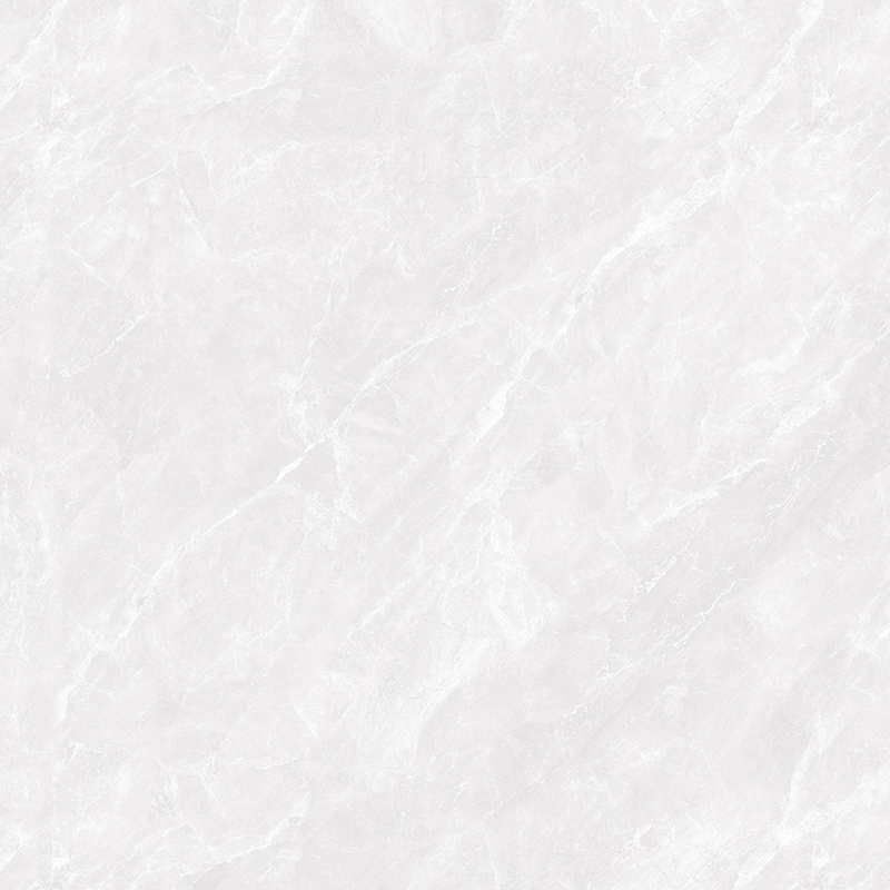 AM89H006