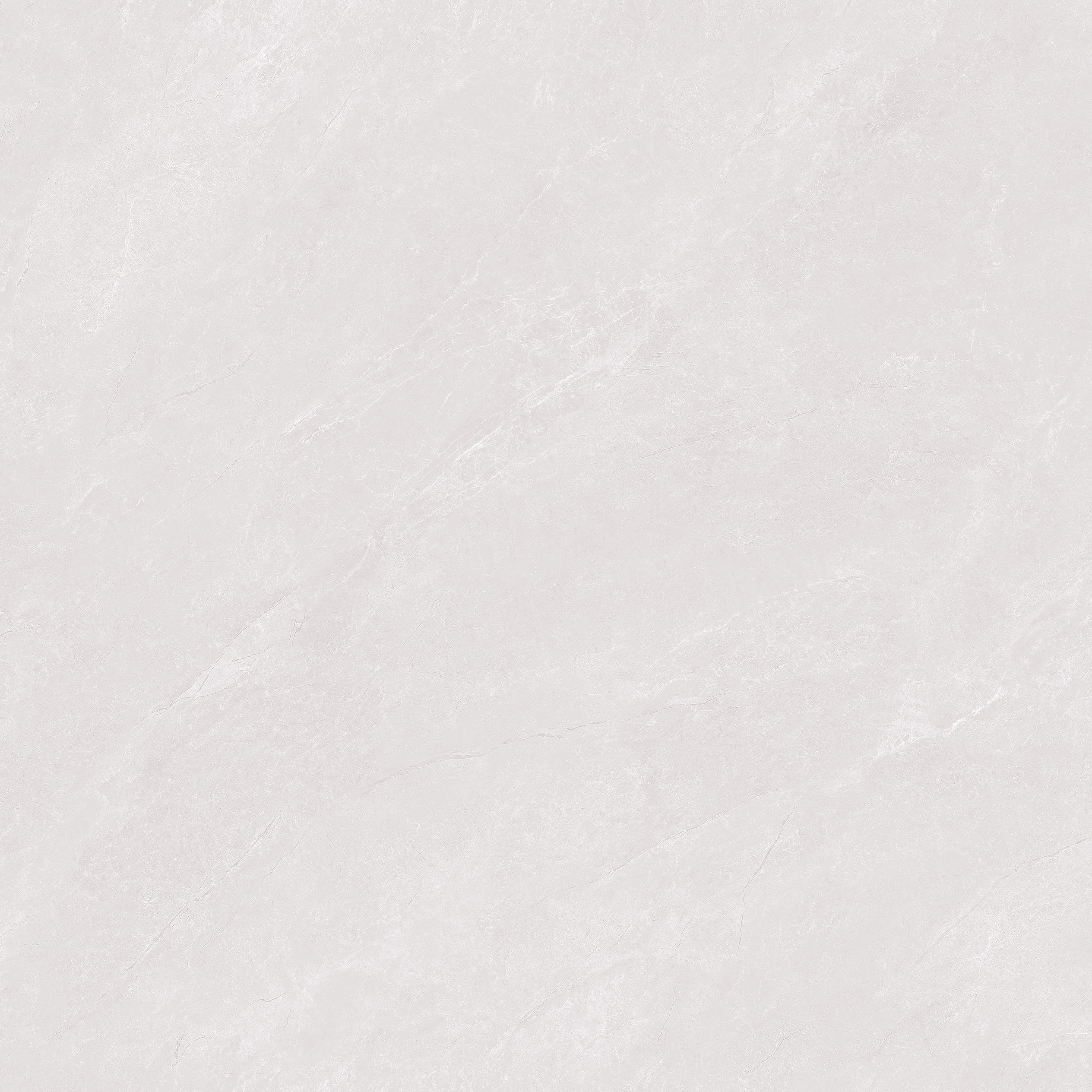 AM89H069